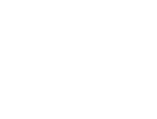 Williams logo